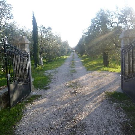 Willa Farm Agriturismo Masseria Chiusurella Corato Zewnętrze zdjęcie
